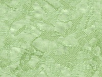 Шёлк Светло-зеленый 5608